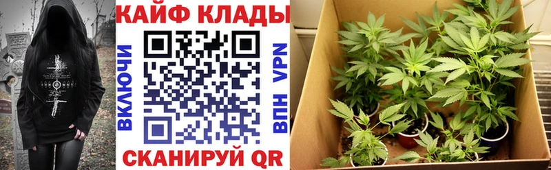 Наркотические вещества Москва Псилоцибиновые грибы  МДМА  ГАШ  Марихуана  КОКАИН  Мефедрон 