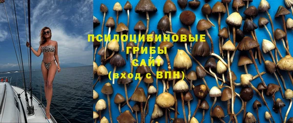 дмт Пролетарск